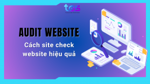 site check là gì? cách audit website hiệu quả
