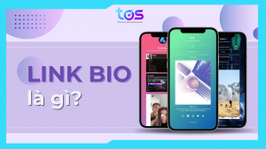 link bio là gì