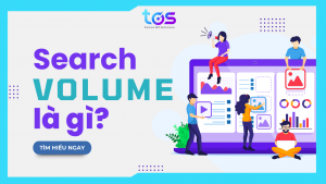 search volume là gì