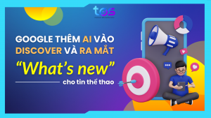 cập nhật google discover ai thể thao